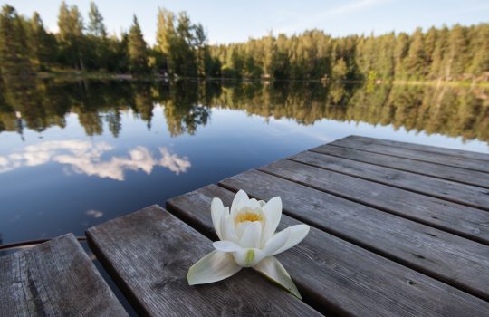 Osallistu valokuvakilpailuun syyskuun loppuun mennessä