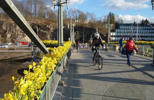 Varsinais-Suomi yksi harvoista kasvualueista uudessa väestöennusteessa