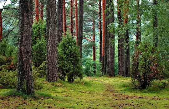 Uudet hankkeet käynnistyvät